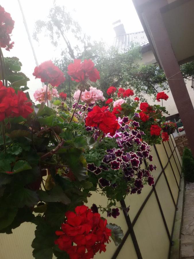 Villa Kasinda Сараево Экстерьер фото